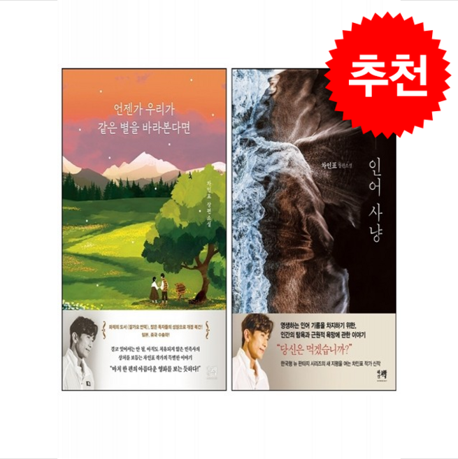 [차인표 소설] 인어 사냥+언젠가 우리가 같은 별을 바라본다면 세트 + 미니수첩 증정, 해결책, 차인표