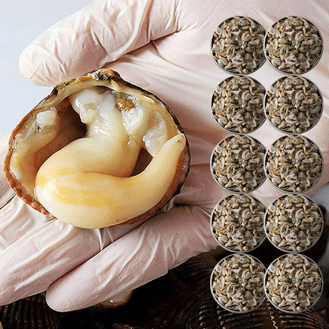 [뮤트빈] 자연산 완전 손질 새조개 샤브샤브 칼국수 새조개살, 10개, 100g