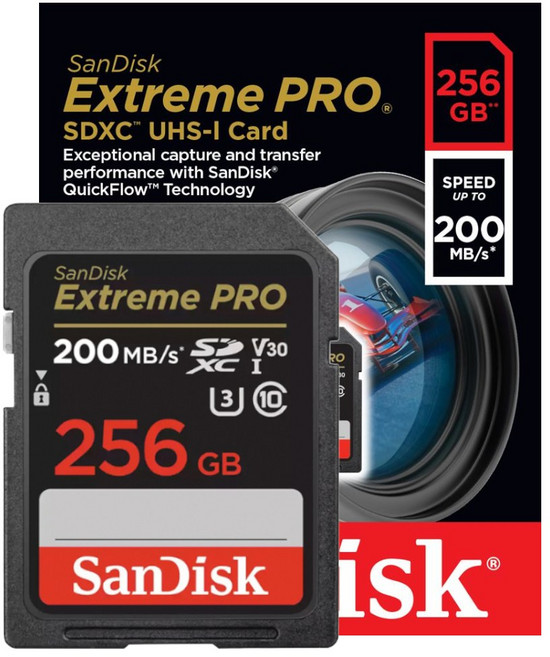 샌디스크 정품 SD 메모리카드 Extreme Pro 익스트림 프로 SDXC 평생보증 Lifetime, 1개, 256GB