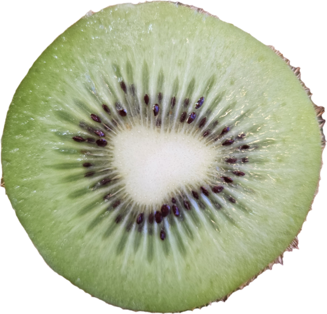 뉴질랜드키위 그린키위 뉴질랜드그린키위, 1박스, 뉴질랜드그린키위 중소(46과내외)5KG