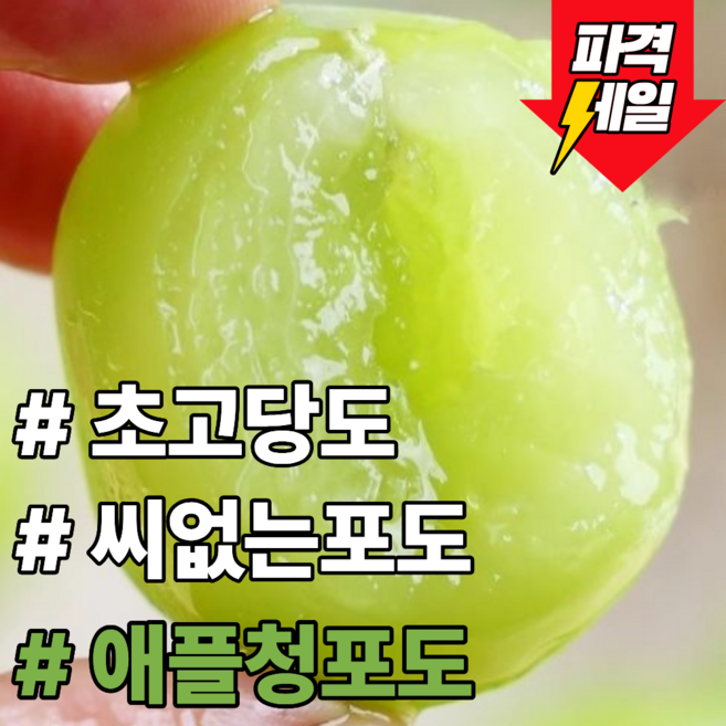 [초고당도] 씨없는 달콤한과육 칠레페루산 애플청포도, 1개, 500g