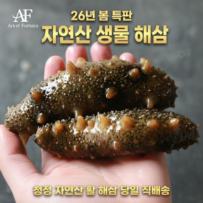 [아르스수산] 자연산 활 해삼 산소포장, 1개, 500g(2-6미 내외)