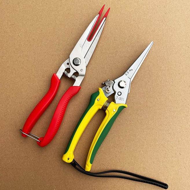 사과 적과 가위 과일 포도 알솎기 고지가위 적화 꽃솎는 원예용가위, 4. 단일 헤드 + 신버전