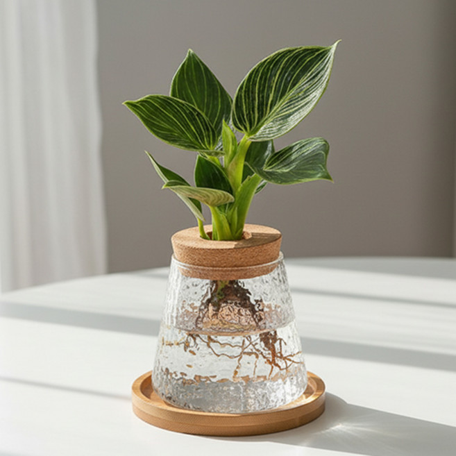 인테리어 식집사 목재우드 유리 수경재배 꽃꽂이 화병 P136, 1개