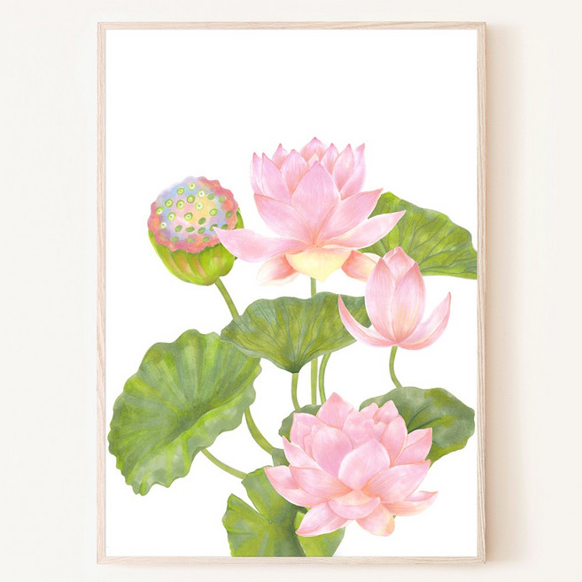 탐스러운 핑크빛 연꽃 수채화 행운 재물운 건강운 돈들어오는 풍수 그림 액자, 17. 레드