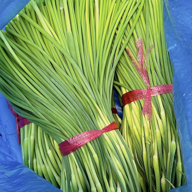 [단독특가] 특상품 당일수확 산지직송 국산 마늘쫑, 1박스, 500g