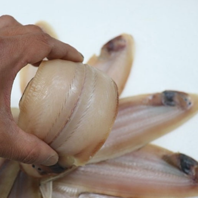 서천 반건조 자연산 박대 프리미엄, 1박스, 반건조 10미 (25cm 내외)