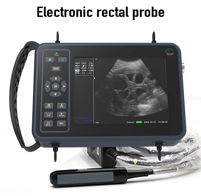 휴대용 동물 초음파 수의학 기계 수의사 스캐너 말 소 낙타 염소 개 고양이, 1개, E-rectal probe Set