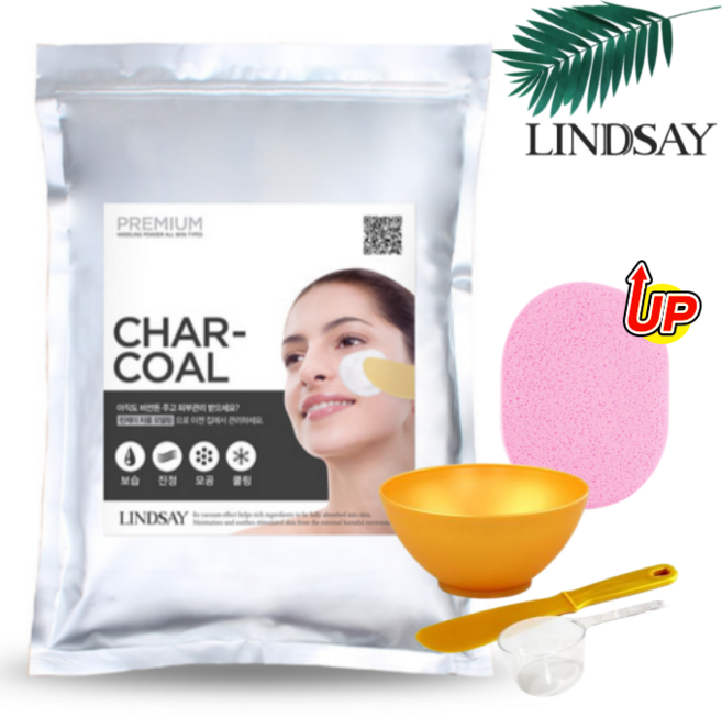 린제이 모델링팩 차콜 1kg 팩도구 해면 올인원 4종 세트, 1개, 1개입
