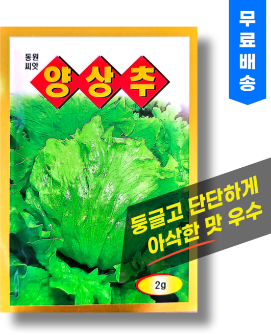 양상추 씨앗 (2g) 병충해 강하며 결구력 우수 쌈채소 샐러드 채소씨앗, 1개