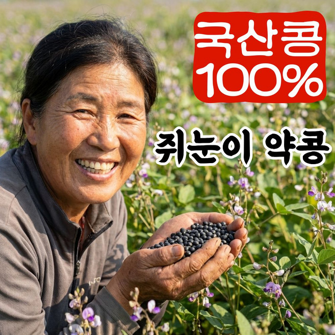 더맛곳간 국산 쥐눈이콩 약콩 서목태 검정콩 검은콩, 1개, 500g