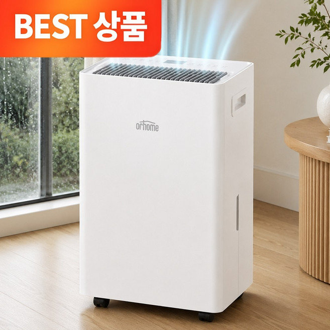 오르홈 인버터 제습기 22L 저소음 대용량 화장실 원룸 욕실 가정용, OHDH-100W