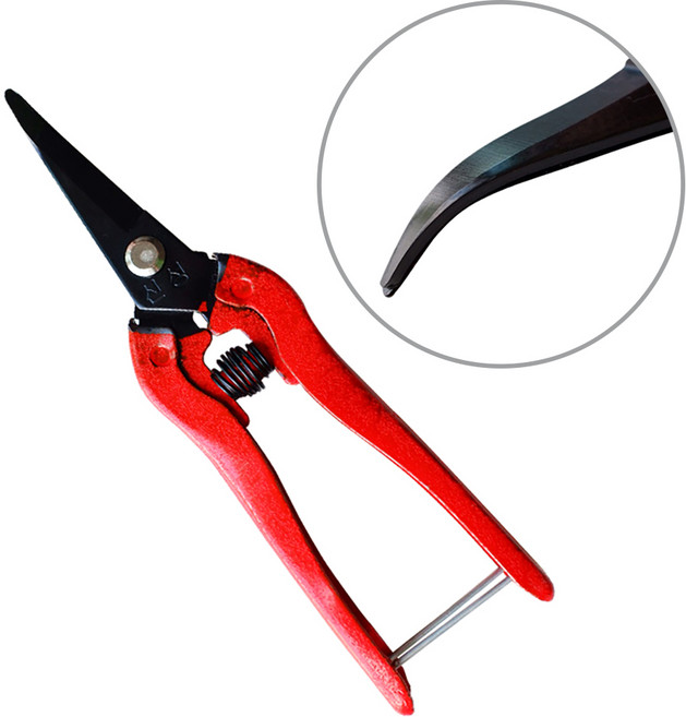 신성 적과곡가위 둥근 과일용 잔가지 절단용 SB308, 1개