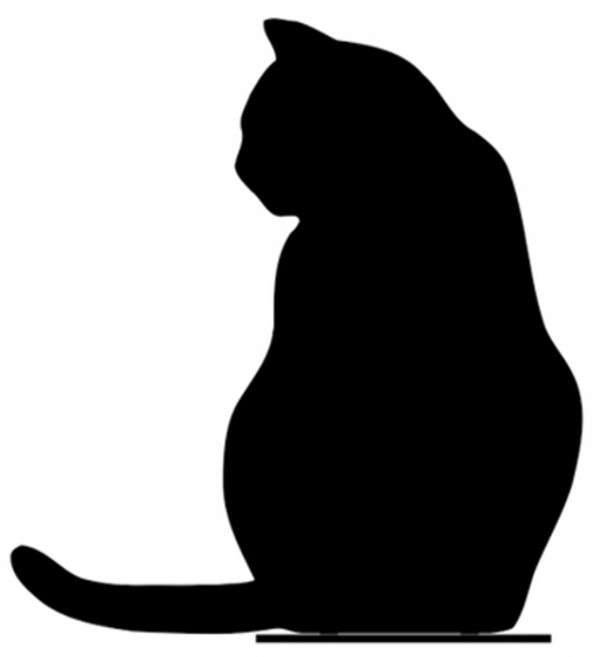 이엠비 고양이 철재 북엔드 책꽂이 지지대, 블랙