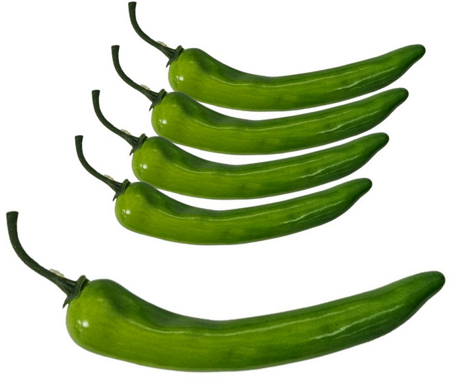 [왓위셀] 아삭이 청고추 모형 야채 채소 소품 5p, 청고추모형