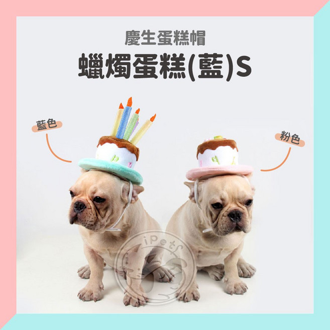 寵星球 寵物生日蛋糕帽, 藍.蠟燭蛋糕帽.S, 1個