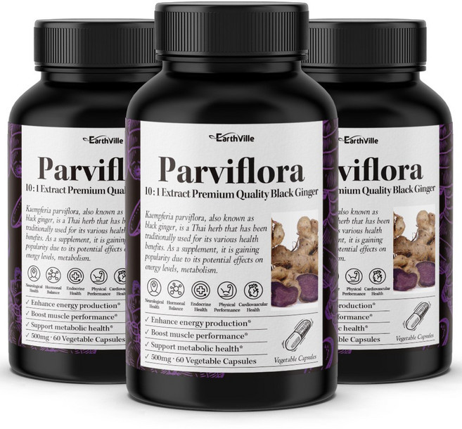어스빌 파비플로라 10배농축 흑생강 추출물 500mg, 3개, 60정