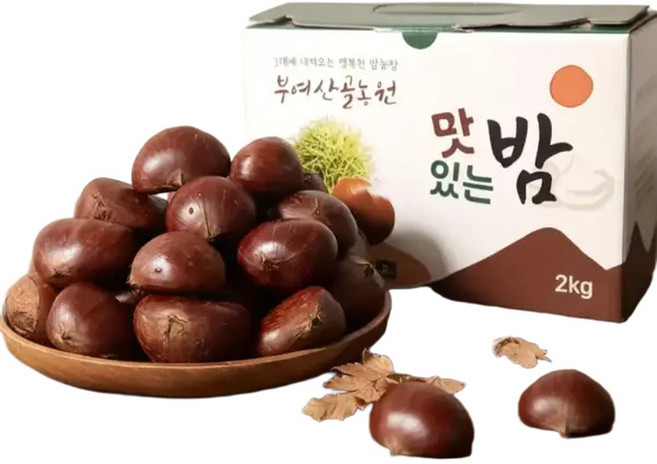 산골농원 알밤 대2kg (칼집) 공주 부여 알밤 햇밤 생율 깐밤 밤 군밤용밤 칼집군밤 생율, 1개, 2kg