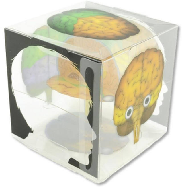 어린이 뇌구조 큐브 모형 뇌이해 만들기키트 실링