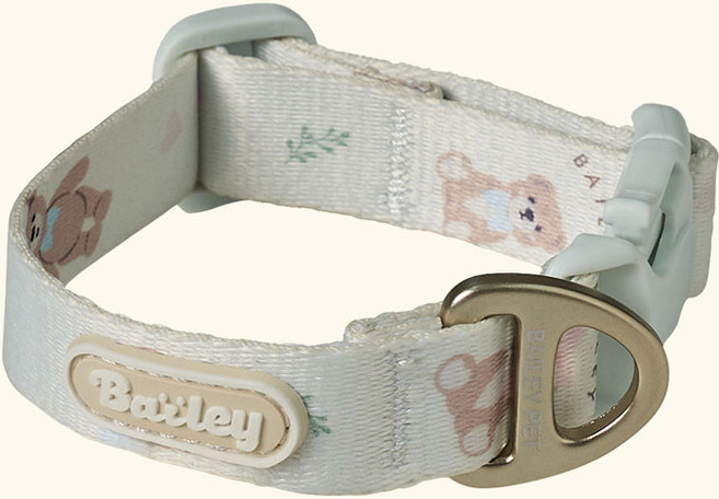 베일리펫 강아지 산책 초경량 웨빙 테디 워키 목줄, 1개, 아이보리