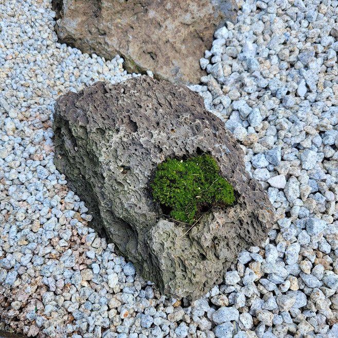 세척 마사토 화분 멀칭재 화단 정원 꾸미기 마감재 마당 자갈 대립 왕 마사, 15kg, 1개