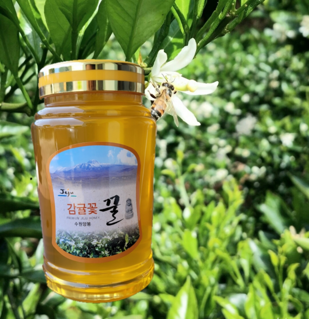 제주 벌꿀 자연꿀 감귤꽃 꿀2.4kg 감귤꿀, 2.4kg, 1개