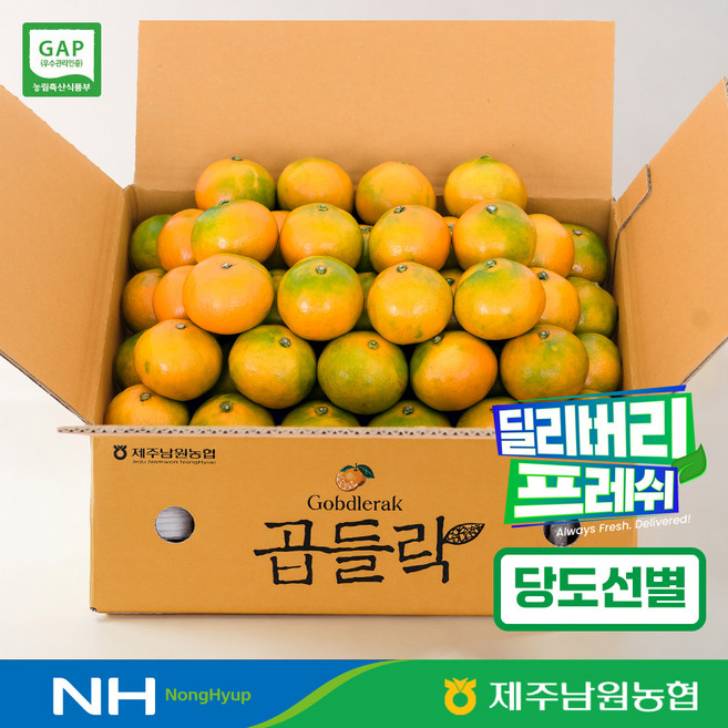 제주남원농협 곱들락 유라 하우스 감귤, 1개, 로얄과 4.5kg (2S-L)