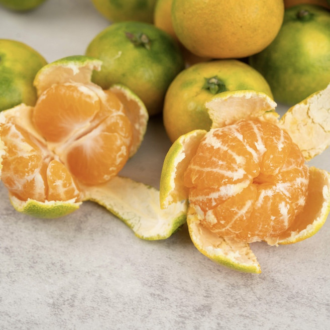 제주감귤 노지 하우스 유라감귤 3kg 유라조생 타이벡 [원산지:국산(제주특별자치도 한경면)], 1박스, 유라 하우스 감귤 로얄과(m) 3kg