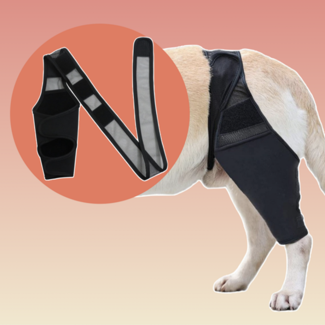 강아지 슬개골 관절 탈구 애견 보호대, 1개