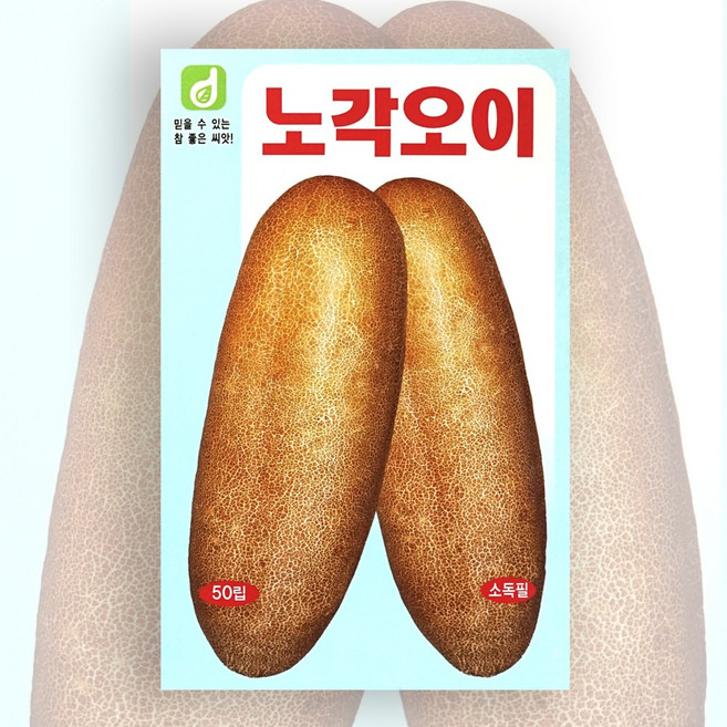 노각오이 50립/오이씨앗 오이 오이씨 맛있는오이 늙은오이 노란오이 건강오이 /DW1, 1개