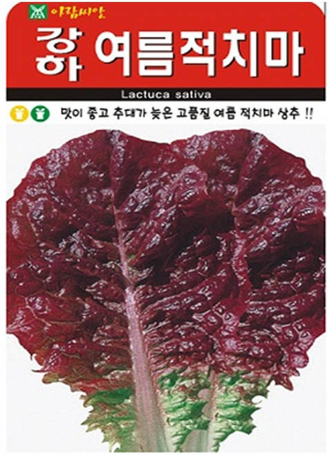 아람종묘 강하 여름적치마 상추 씨앗 2000p, 1개