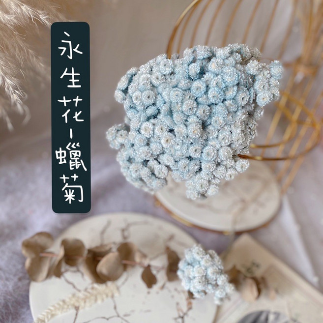 萬花。瞳 乾燥花素材- 進口義大利不凋蠟菊 乾燥花束/婚禮佈置/手作素材/攝影道具/新娘捧花, 大份約20朵, 忘憂水藍