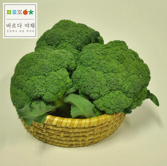 바르다야채 국내산 신선한 브로콜리 (특), 1박스, 3kg