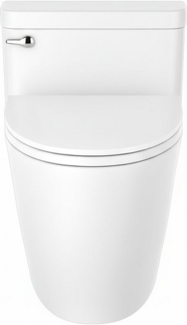 아메리칸스탠다드 D자 특대형 무소음 댐퍼 슬로우 클로징 변기커버, 2세트