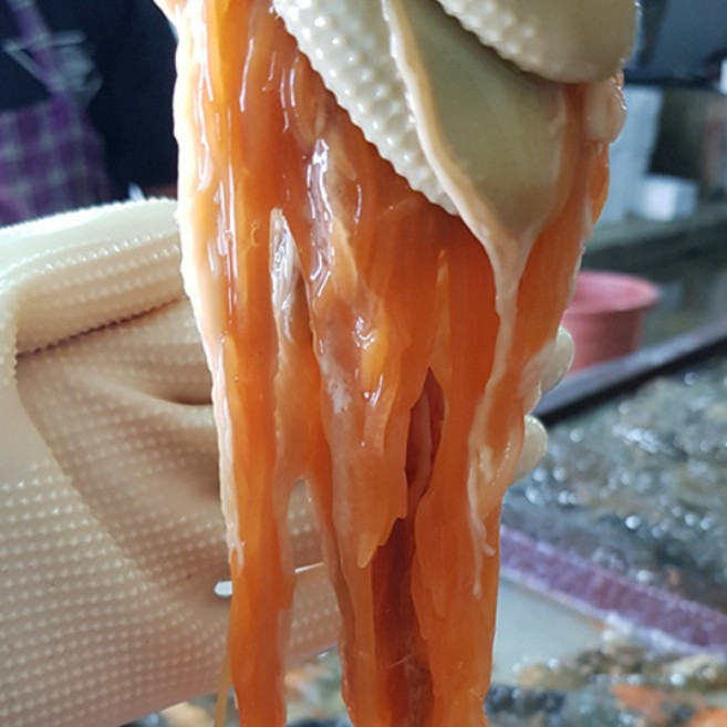 프리미엄수산 국내산 고노와다 해삼내장, 1개, 100g