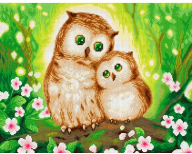 금송샵 보석십자수 캔버스형 부엉이 동물 대형 AB비즈 60x45cm 재물운 인테리어 DIY, 1세트