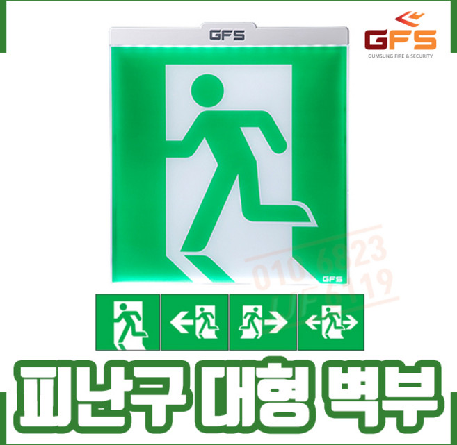 (GFS 금성방재) 피난구 유도등 대형 벽부형, 1개