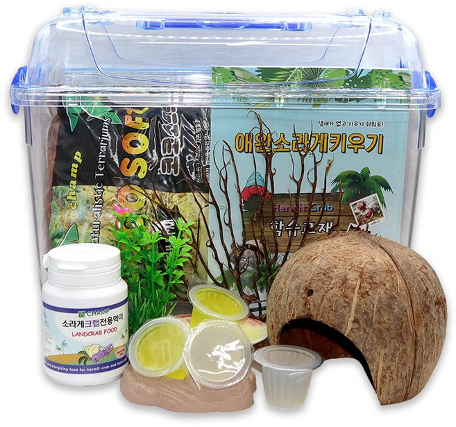 소라게 키우기 초보 기본세트 대, 1세트