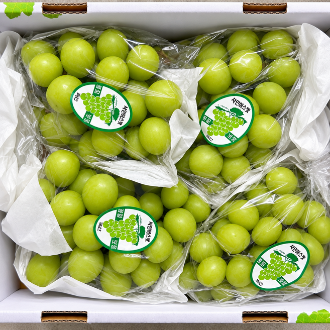 산지직송 초고당도 청포도 특품 샤인머스캣, 1박스, 2kg