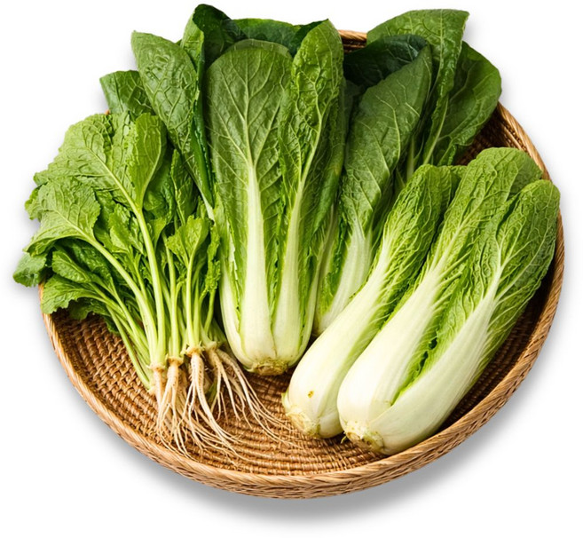 국내산 열무와 얼갈이 세트 봄 김치 겉절이 담기, 1박스, 4kg (열무1kg 얼갈이3kg)