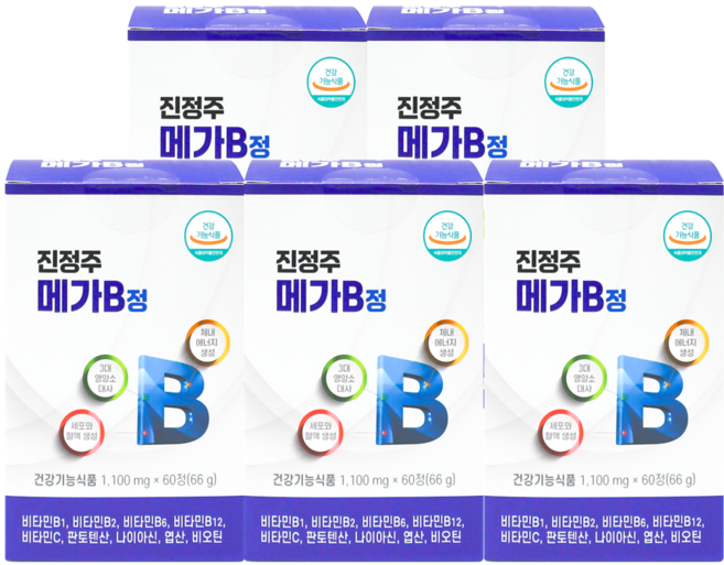 진정주 메가B 1통 활력증진 비타민B 성장기 학생 수험생 에너지, 4박스, 60정