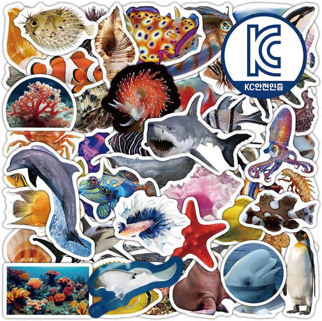플레이그루 바다 동물 해양 생물 스티커 세트 50장, 1세트, 혼합색상