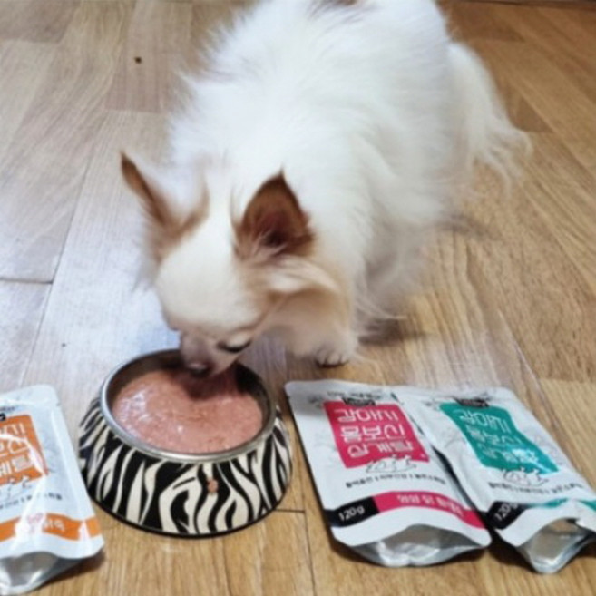 강아지 몸보신 삼계탕 120g 영양 닭 단호박 황태 오리 죽, 영양 닭죽, 1개