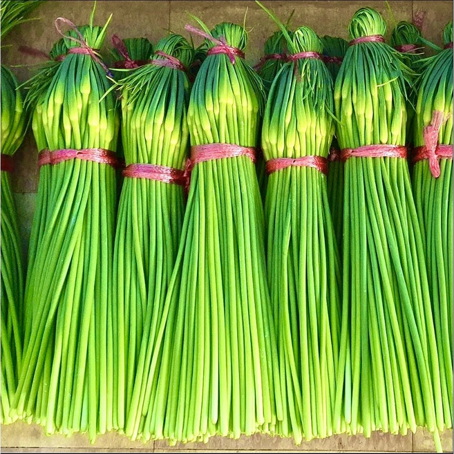 [산지당일발송] 국산 남해 햇마늘쫑 마늘종 남해 마늘쫑 - 싱싱이네, 마늘쫑 1Kg 특품, 1개