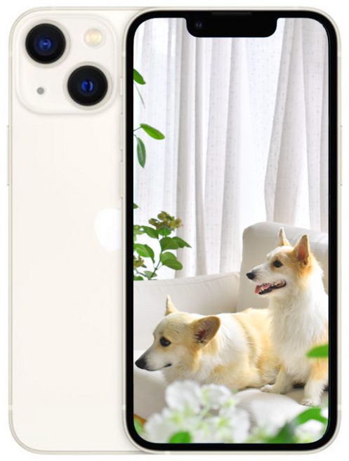 i/폰13 새제품 미개봉, 256GB, 화이트 아이폰 13