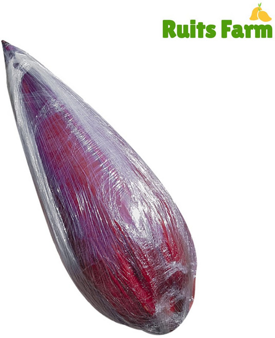 [루츠팜] 태국 생 바나나꽃 600~700g 1수 banana blossoms