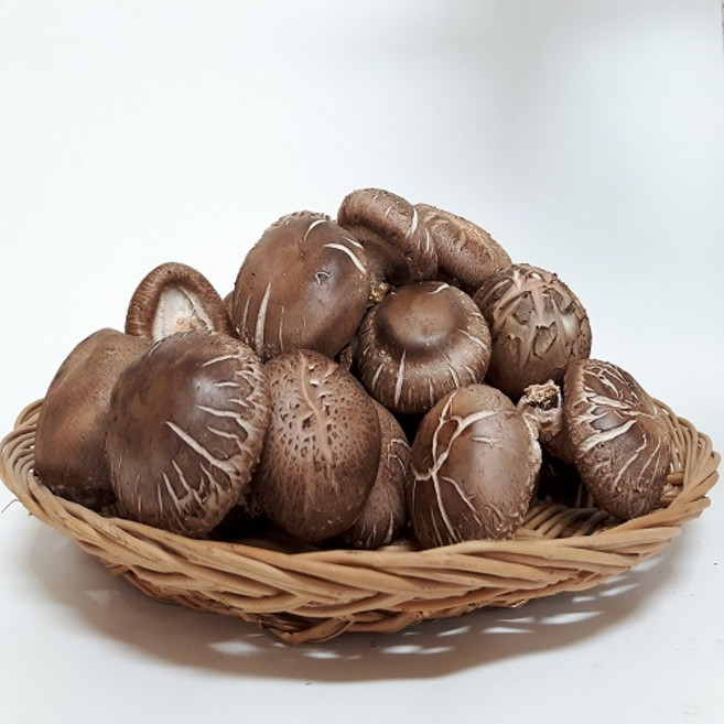 농장직영 무농약 생표고버섯 못난이1kg 급식용 식당용 건조용 가루용 못생겨도 맛은 똑 같아요, 표고버섯 1kg, 1개