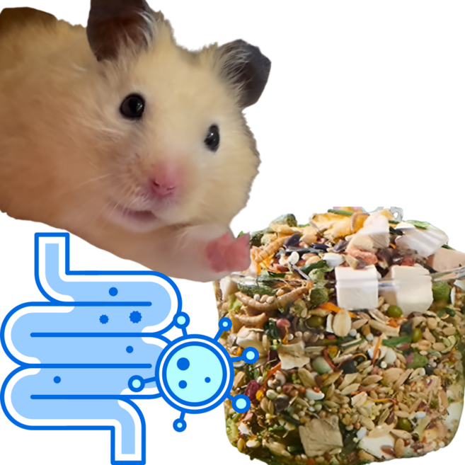 (best) 햄스터 yee 유산균 밥 먹이 사료 프로바이오틱 골든햄스터, 1개, 100g