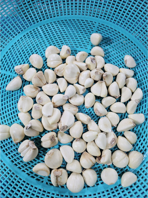 국산 파지 깐마늘 꼭지 제거 20kg 대용량 식자재 업소 식당 도매 국내산 10kg 5kg, 파지 5kg