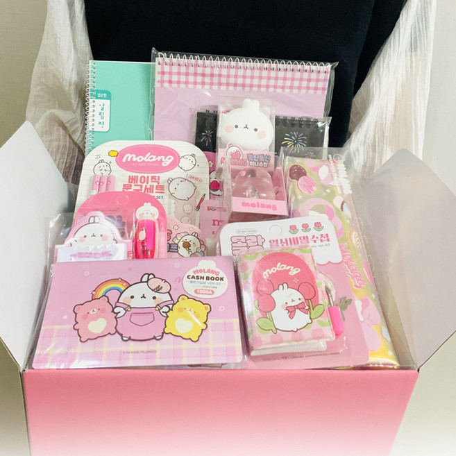 홈블리스마켓 몰랑이 문구 세트 신학기 준비물, 몰랑A 프리미엄세트